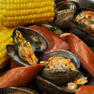 oysters, oysters and mussels, food, mussels, shellfish