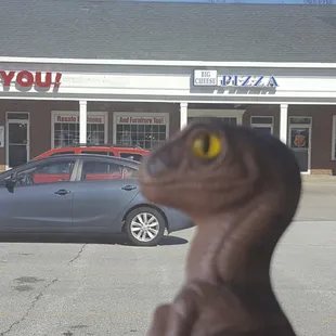 Bob the Raptor Says &quot;I like big cheese prey.&quot;