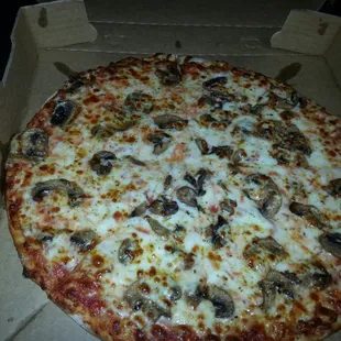 Thin crust mushroom pizza.