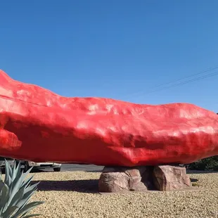 World's Largest Chile Pepper  11-20-2022