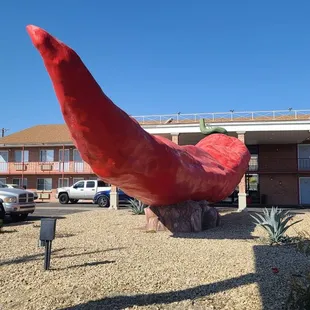 47 ft long Red Pepper  11-20-2022