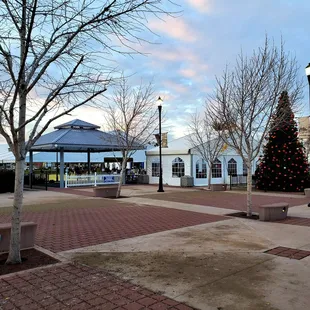Big nice Christmas tree next to the rink