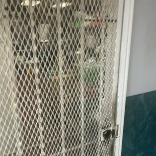 a dog in a kennel