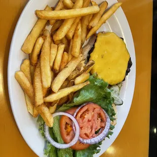 Cheese burger with fries