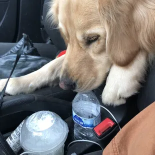 Why I'm glad it has a covering! Lemon Lemonade