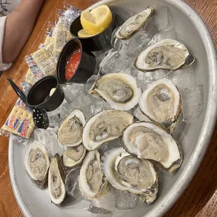 Oysters