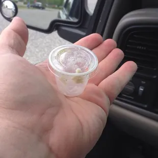 Cole slaw container...truly pathetic