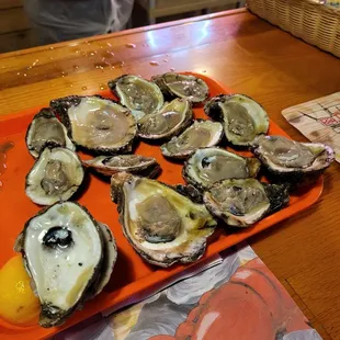 Raw oysters