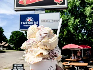 Nelson's Ice Cream
