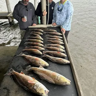 Redfish were on fire!