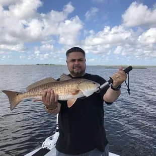 Big thank's Captain David Bourgeois of Big Dog Fishing A+.   5225 Privateer Blvd Barataria, LA  70036 United States  Thank You