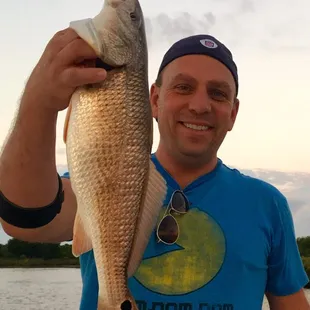 Caught 5 different species