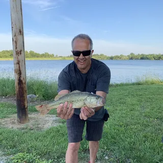 Greg S.