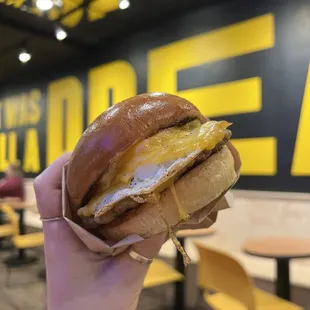 a person holding a sandwich