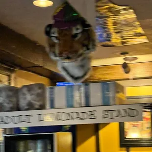 a tiger head hanging from the ceiling