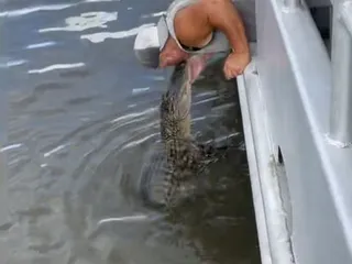 Swamp Tour New Orleans