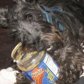 Maggie S.