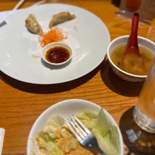 I ordered the gyoza because duhhh it&apos;s absolutely amazing and they look hand made