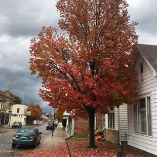 Fall 2018 - Wells Street, Fort Wayne