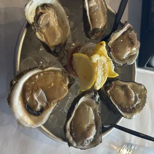 Fresh half shell oysters