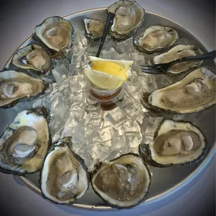 Dozen on the half shell