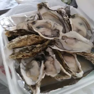 12 oysters on the half shell