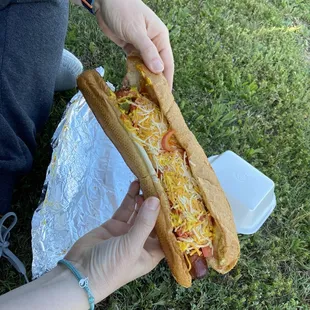 Hotdog