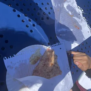 Cheese Pizza