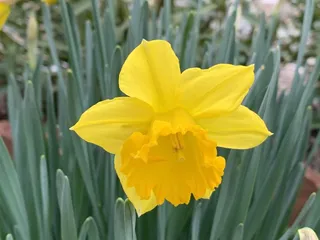 Gold Rush Mobile Home Park