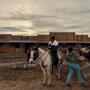 Big Horn Stables