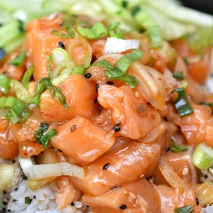 Salmon