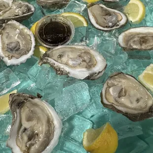 Oysters! Very reasonable price!