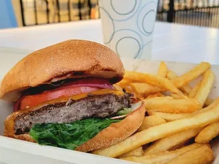 Bar and Grille - Paradise Palms Resort