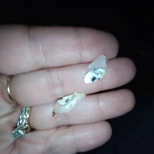 a hand holding a piece of pizza