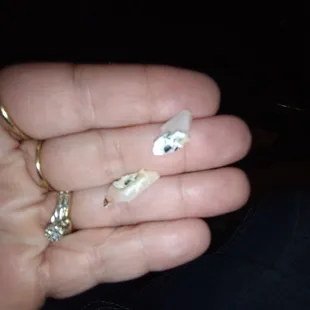 a person holding a small piece of food