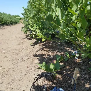 2nd weekend in a row here and already a favorite.  Staff is so informative and inviting.  Great family activity