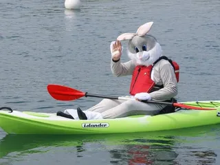 Hidden Adventure Swamp & Plantation Tours