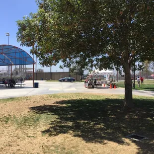 Nice shade, good food and great beer for adults
