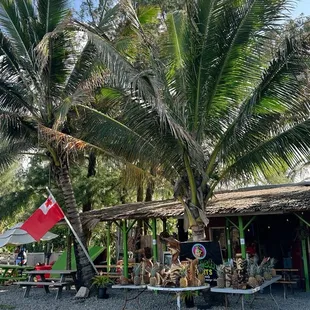 We love Aunty Tina's juice bar!