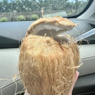 Fresh Young Coconut