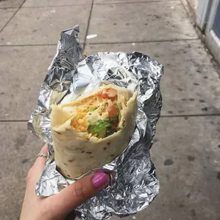 a hand holding a burrito