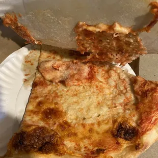 Slices to go with a paper plate smashed on top. I wish they would just put in a pizza box or use foil instead