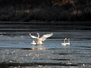 Wild River Outfitters