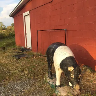 a black and white cow statue in front of a red barn