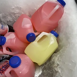 Pink and Regular Lemonade