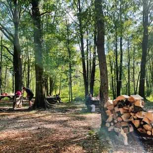 Lots of picnic tables to enjoy