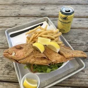 Fried Snapper!!