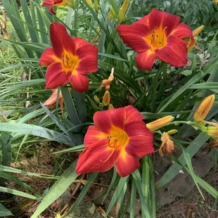 We have beautiful scenery throughout the park.