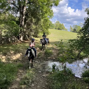 Bella and Blue crossing the stream.