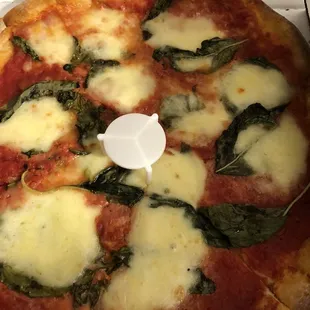 Margherita Pizza